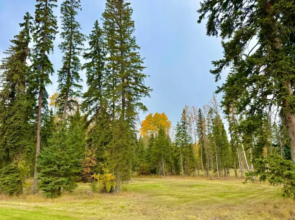 202 Meadow Ponds Drive Rural Clearwater County AB T4T 1A7