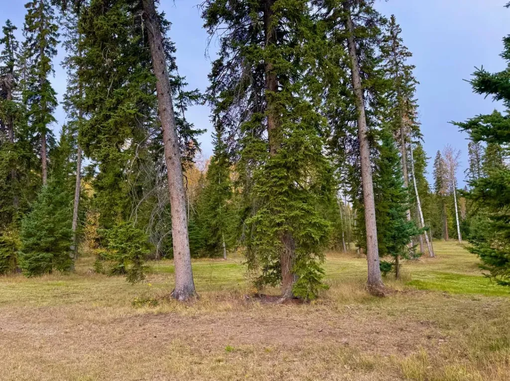 202 Meadow Ponds Drive Rural Clearwater County AB T4T 1A7