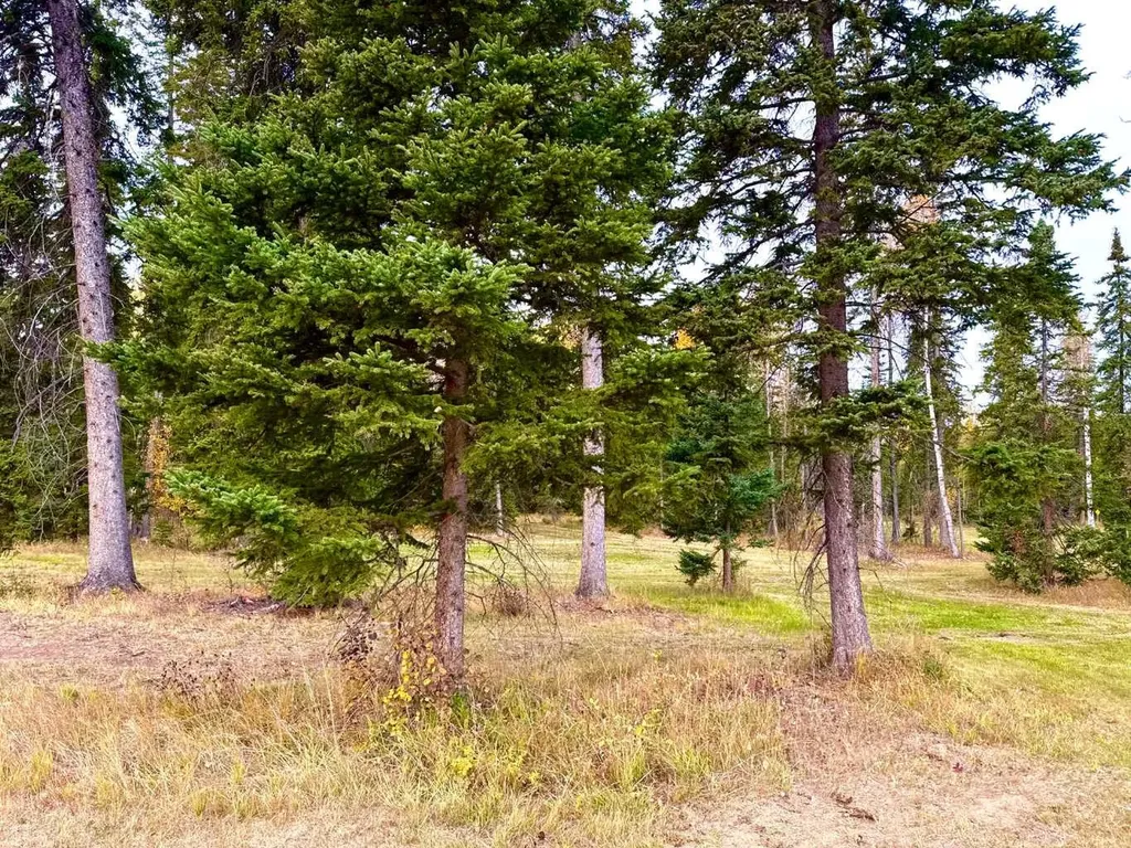 202 Meadow Ponds Drive Rural Clearwater County AB T4T 1A7