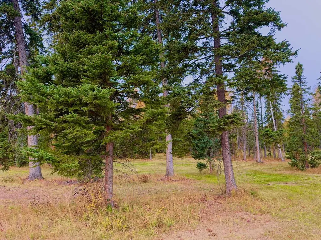 202 Meadow Ponds Drive Rural Clearwater County AB T4T 1A7