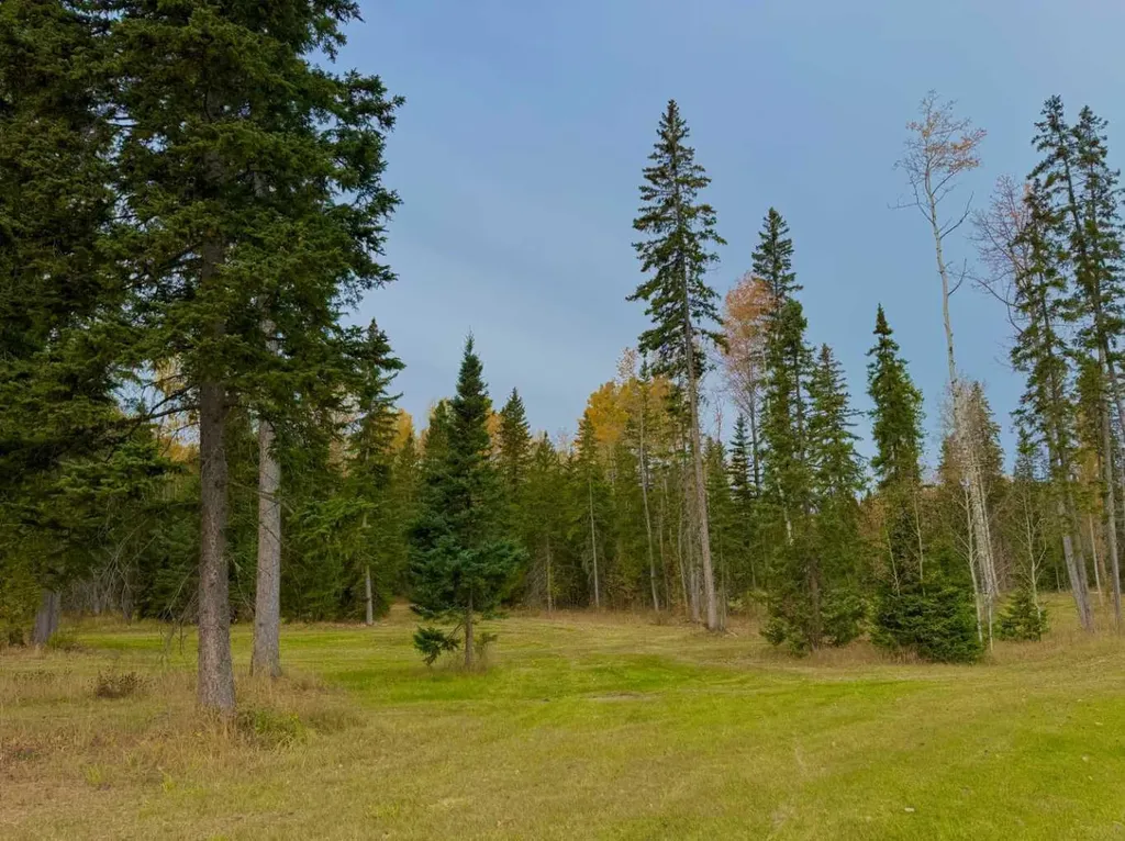 202 Meadow Ponds Drive Rural Clearwater County AB T4T 1A7