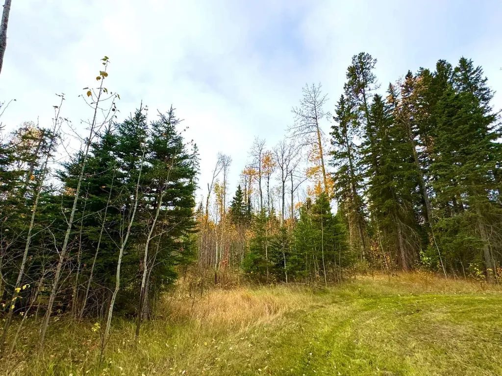119 Meadow Ponds Drive Rural Clearwater County AB T4T 1A7