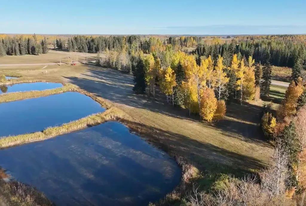 119 Meadow Ponds Drive Rural Clearwater County AB T4T 1A7