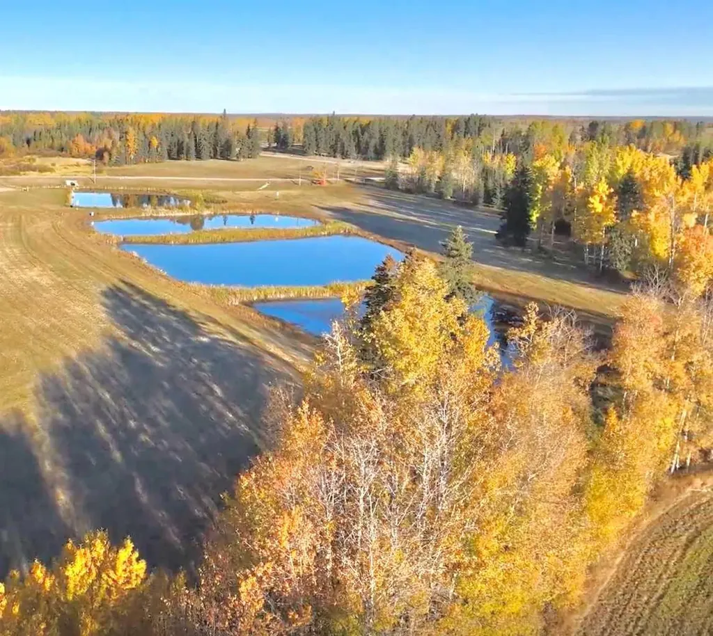 119 Meadow Ponds Drive Rural Clearwater County AB T4T 1A7