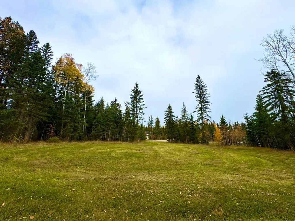 119 Meadow Ponds Drive Rural Clearwater County AB T4T 1A7