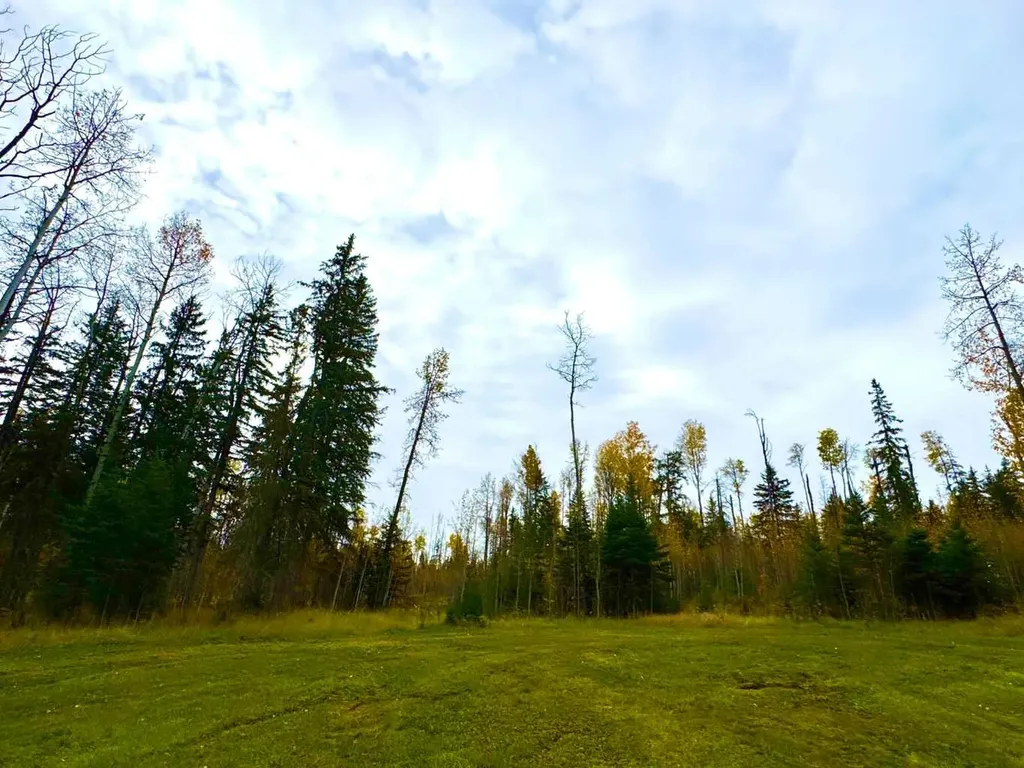 119 Meadow Ponds Drive Rural Clearwater County AB T4T 1A7