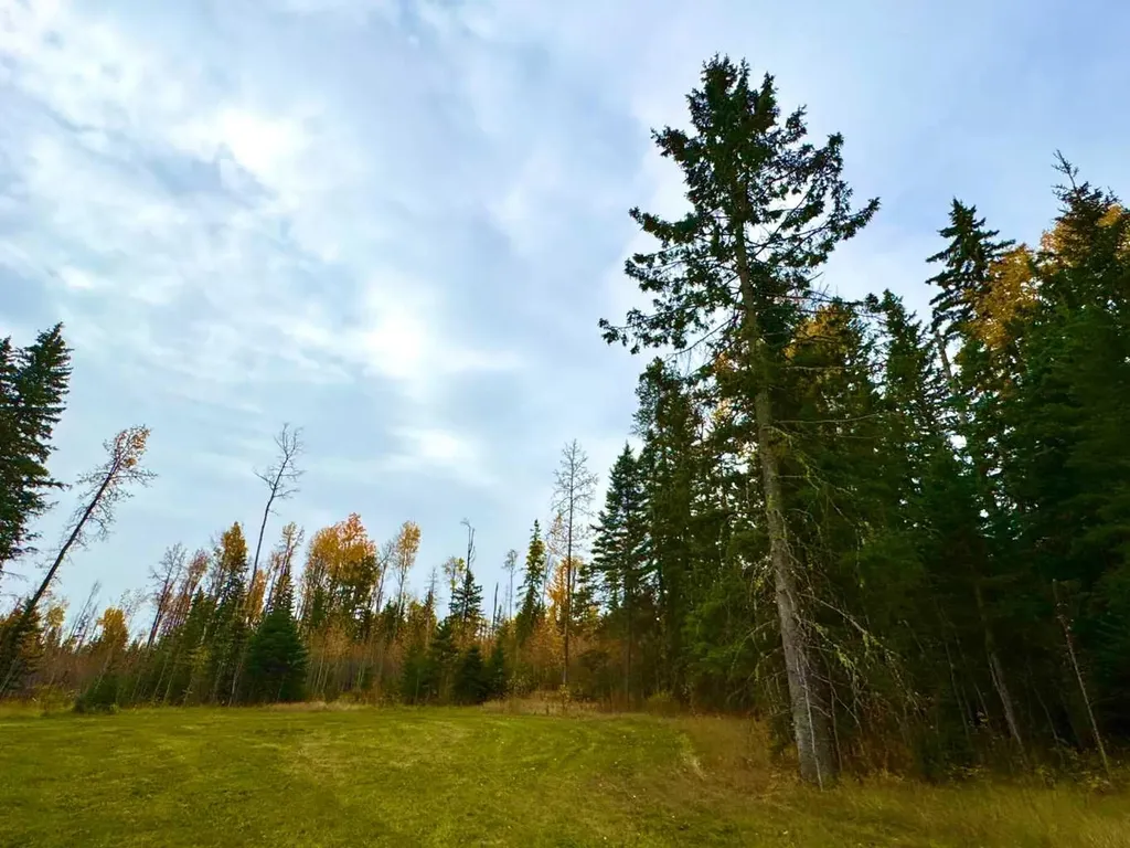 119 Meadow Ponds Drive Rural Clearwater County AB T4T 1A7