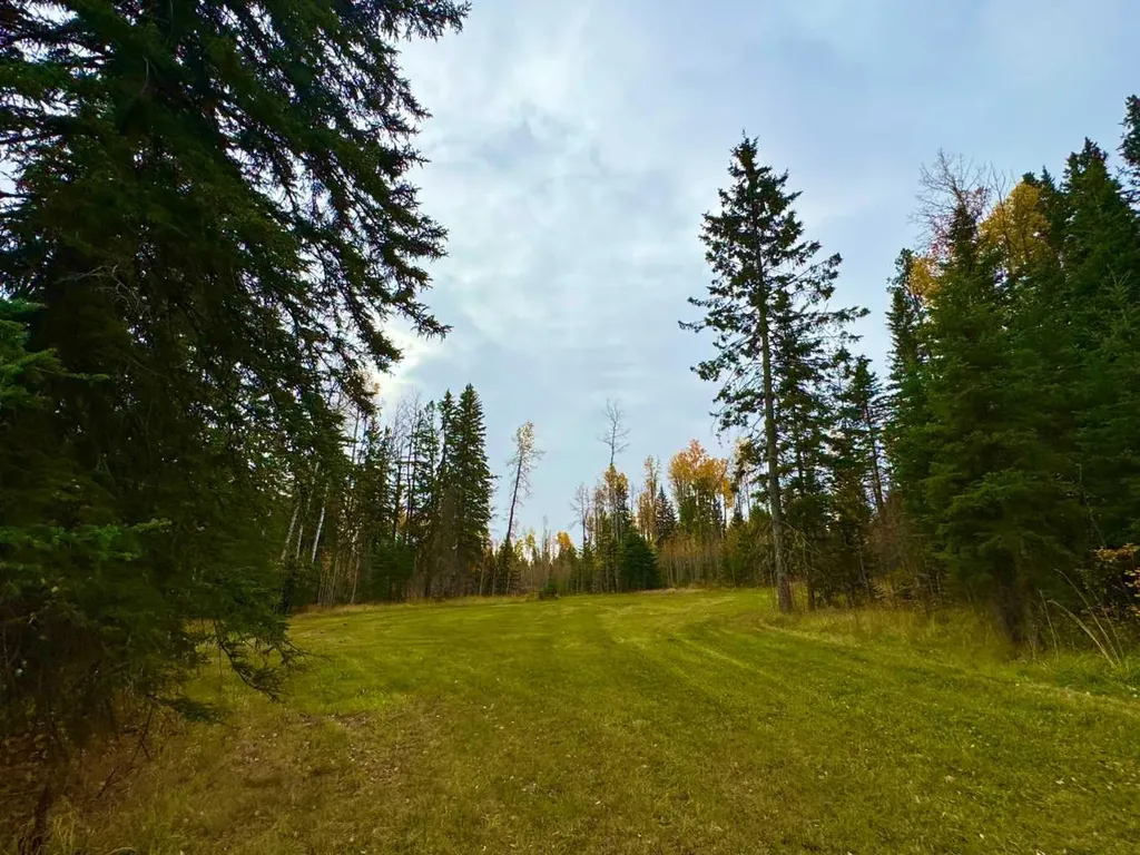 119 Meadow Ponds Drive Rural Clearwater County AB T4T 1A7