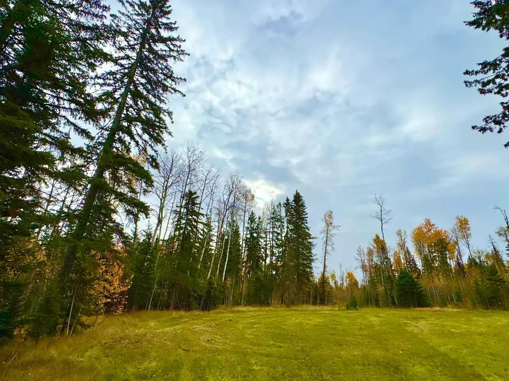 119 Meadow Ponds Drive Rural Clearwater County AB T4T 1A7