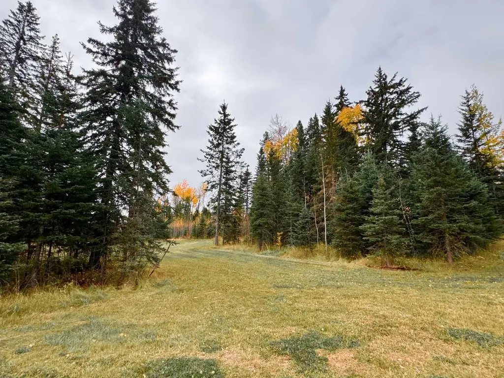 119 Meadow Ponds Drive Rural Clearwater County AB T4T 1A7