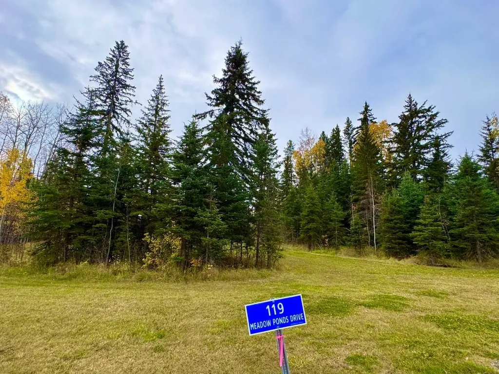 119 Meadow Ponds Drive Rural Clearwater County AB T4T 1A7