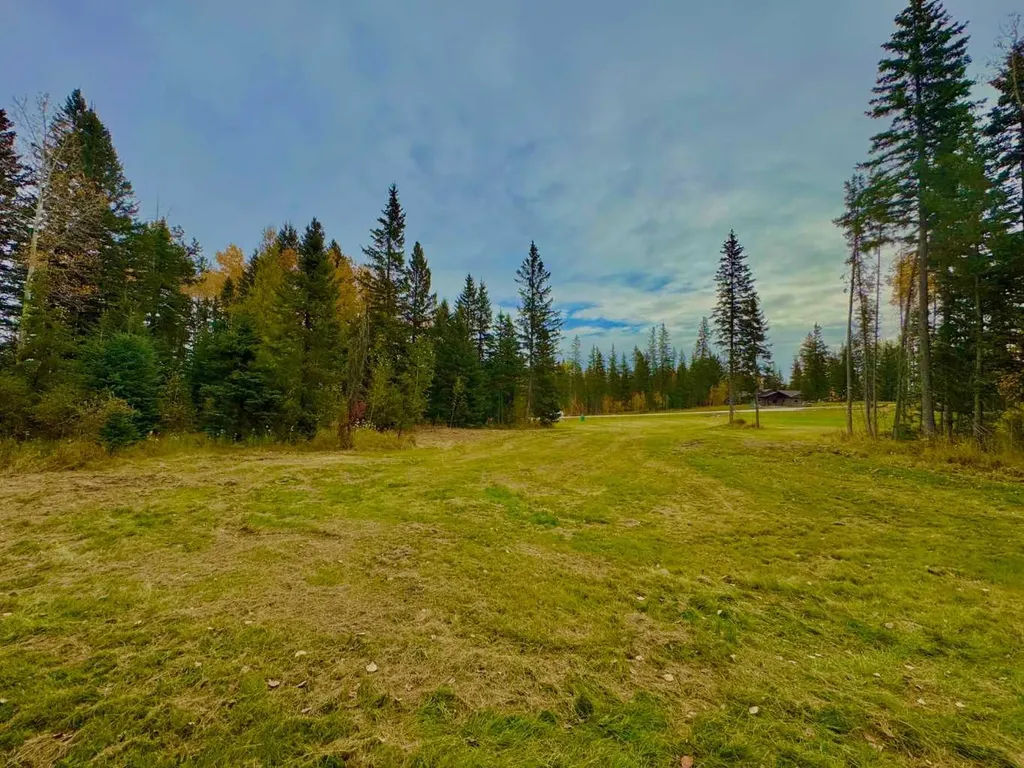 157 Meadow Ponds Drive Rural Clearwater County AB T4T1A7