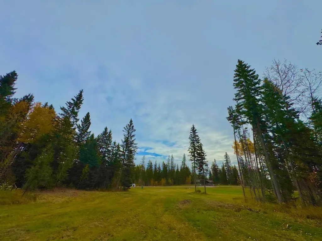157 Meadow Ponds Drive Rural Clearwater County AB T4T1A7