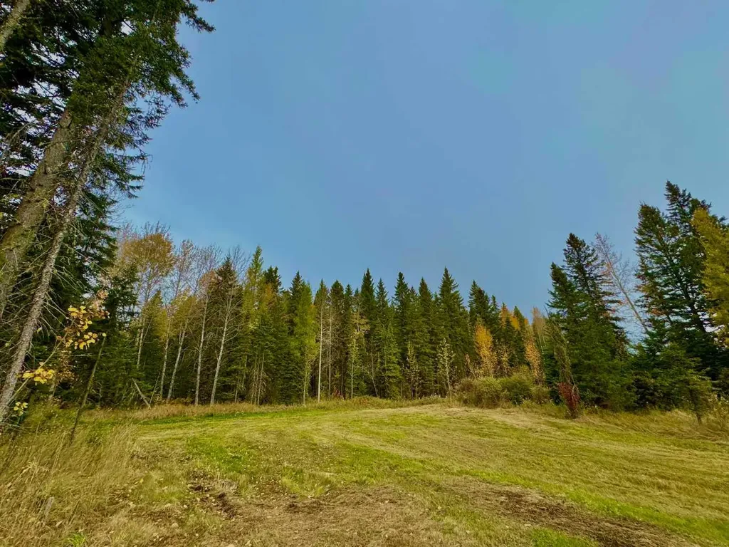 157 Meadow Ponds Drive Rural Clearwater County AB T4T1A7