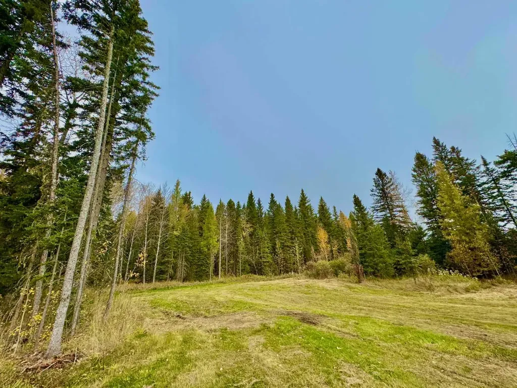 157 Meadow Ponds Drive Rural Clearwater County AB T4T1A7