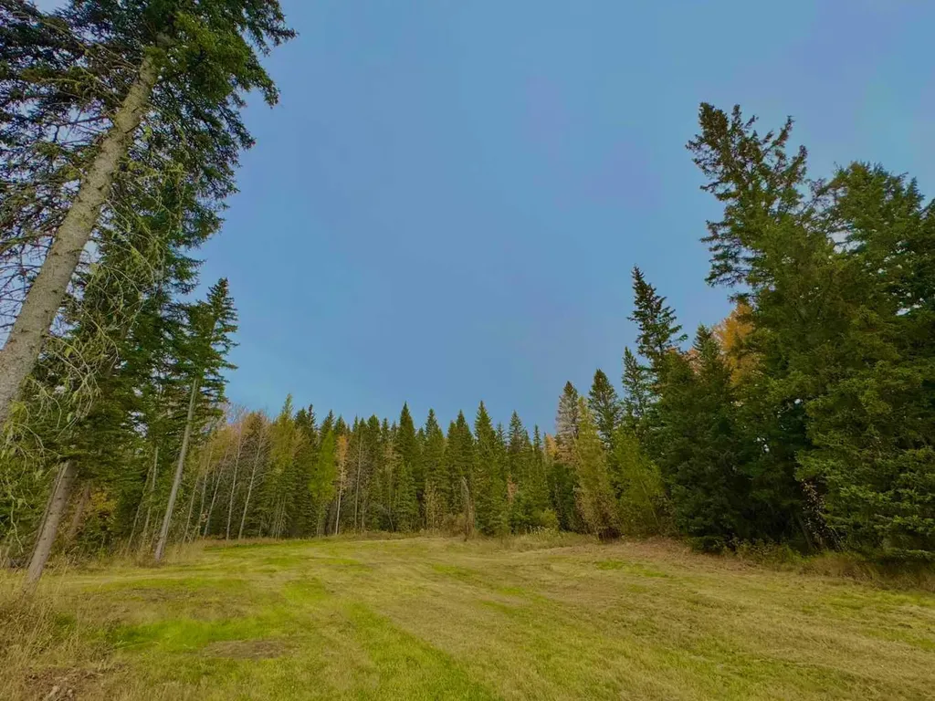 157 Meadow Ponds Drive Rural Clearwater County AB T4T1A7