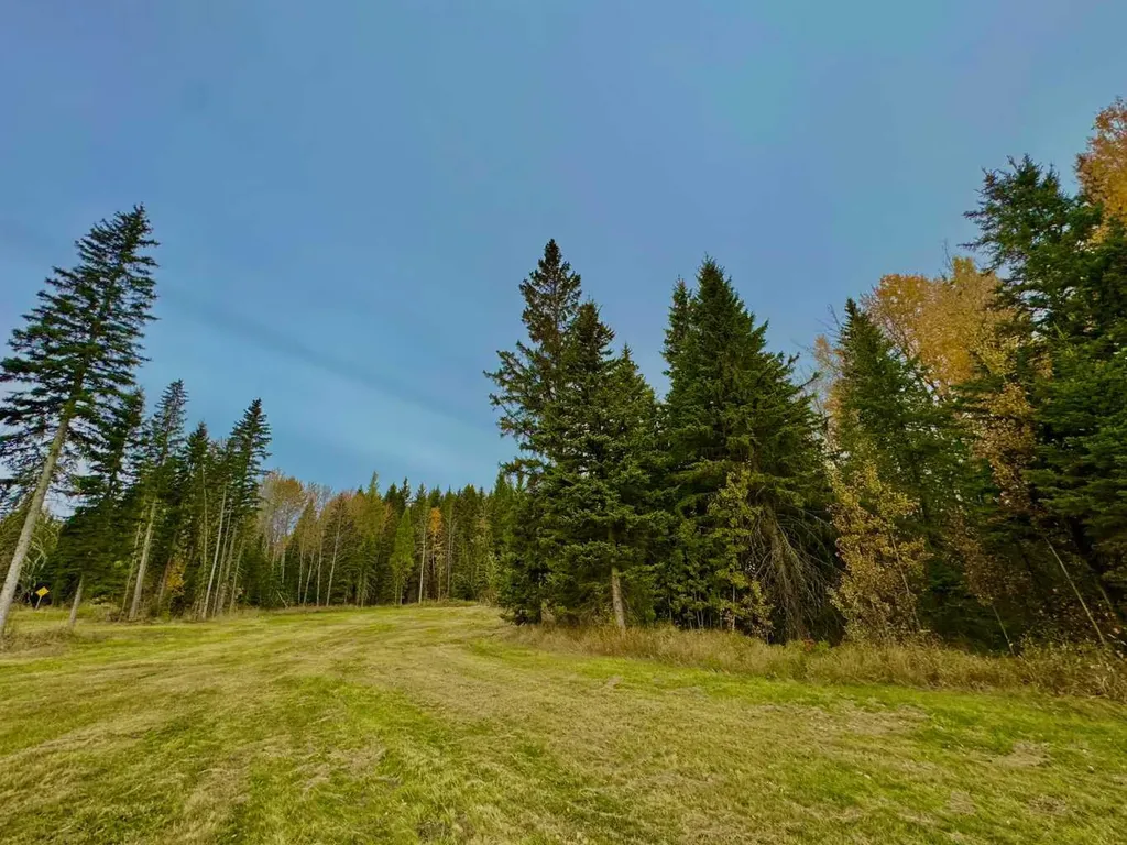 157 Meadow Ponds Drive Rural Clearwater County AB T4T1A7