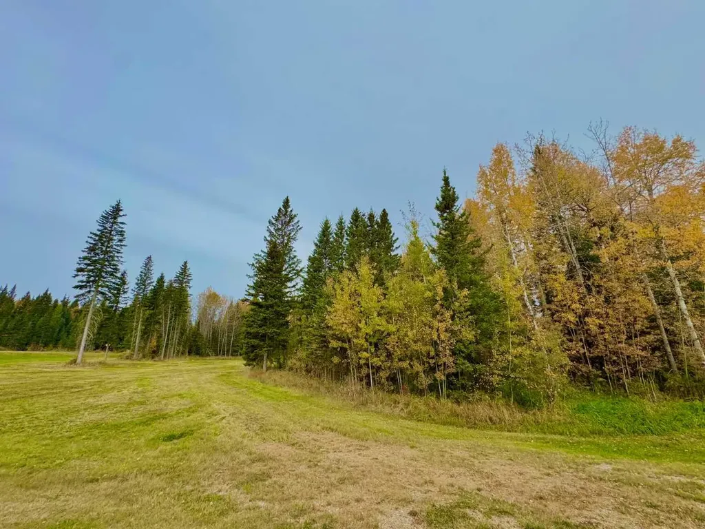 157 Meadow Ponds Drive Rural Clearwater County AB T4T1A7