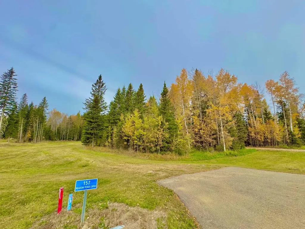 157 Meadow Ponds Drive Rural Clearwater County AB T4T1A7