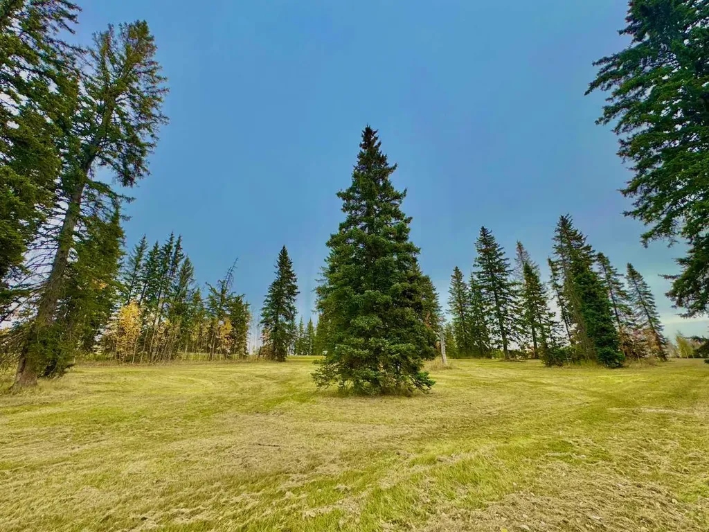 309 Valley View Drive Rural Clearwater County AB T4T 1A7