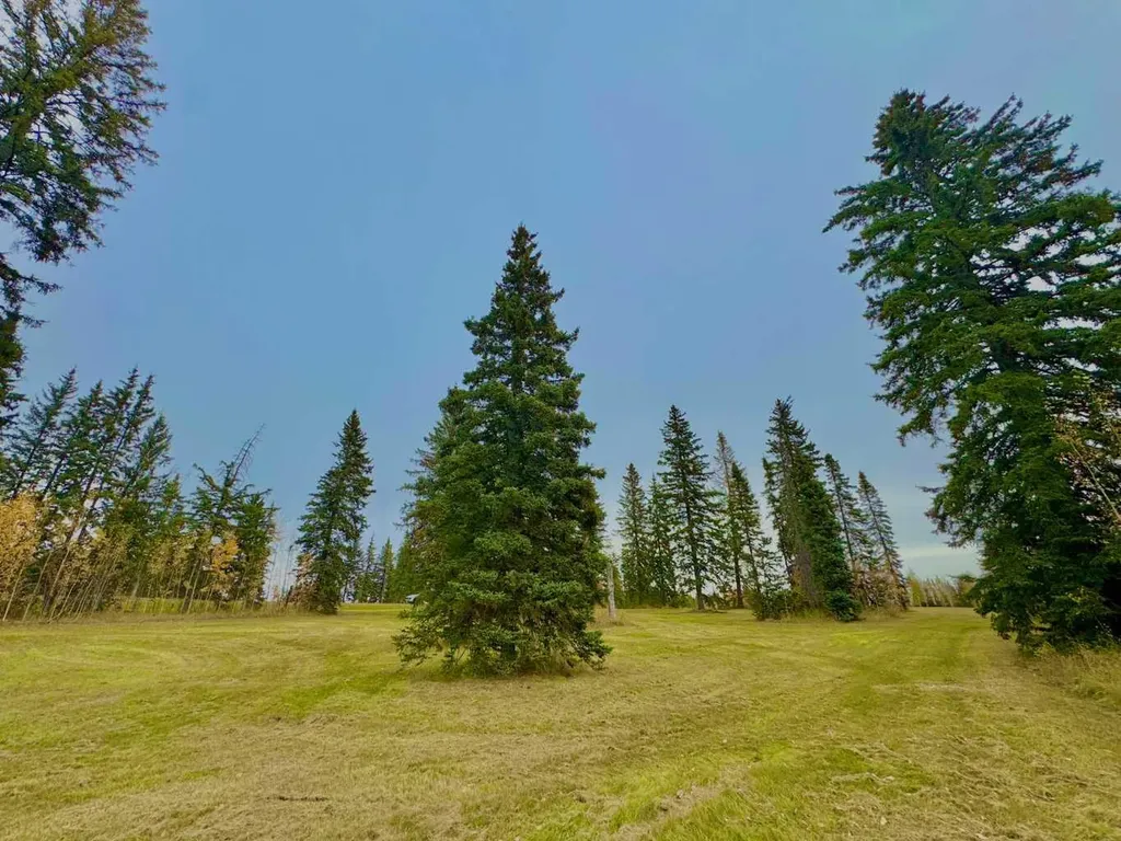 309 Valley View Drive Rural Clearwater County AB T4T 1A7