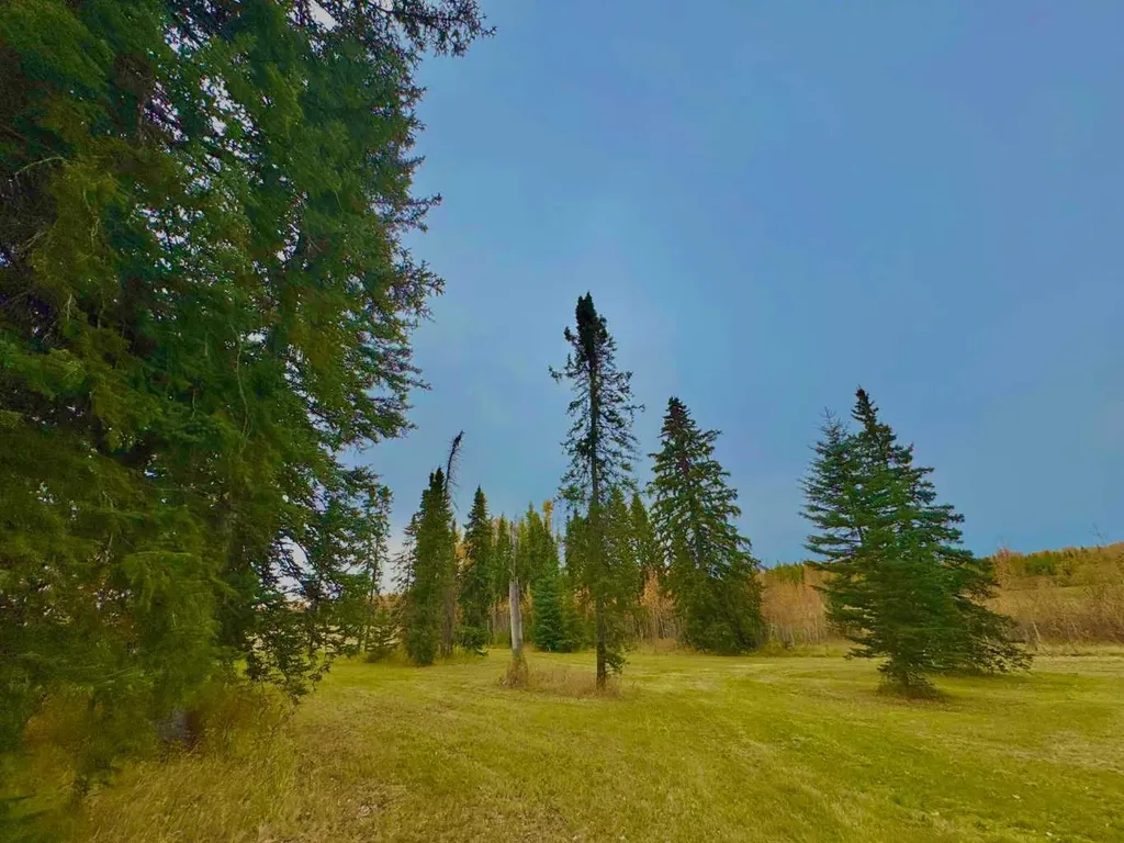 309 Valley View Drive Rural Clearwater County AB T4T 1A7