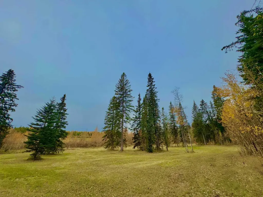 309 Valley View Drive Rural Clearwater County AB T4T 1A7
