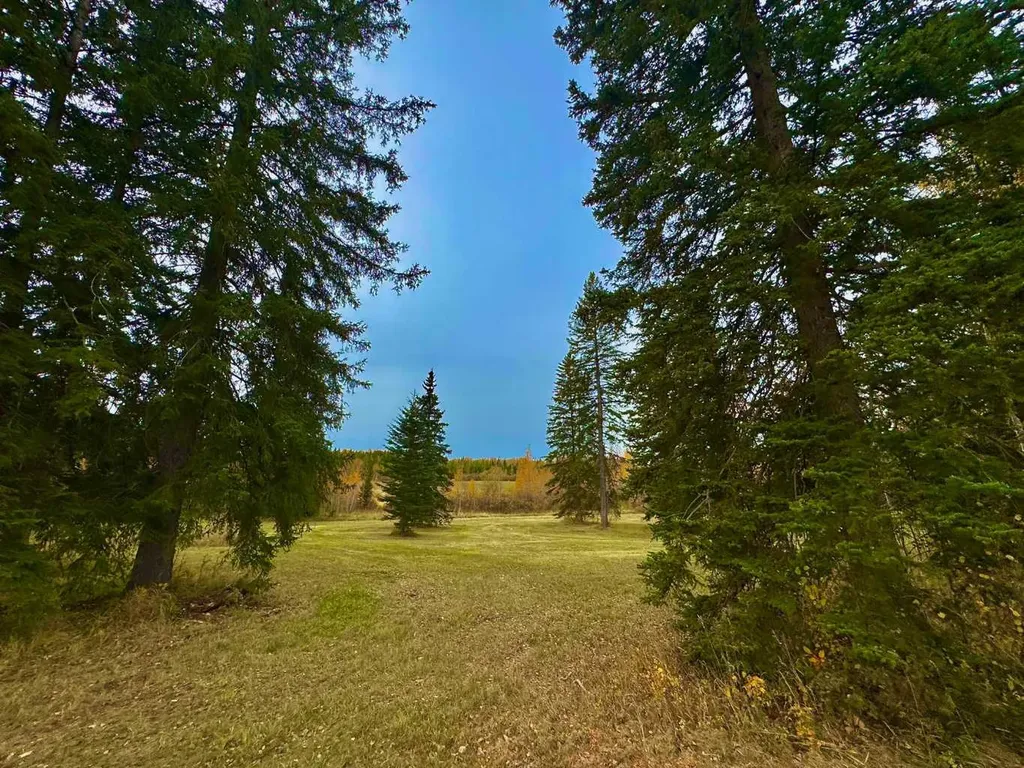 309 Valley View Drive Rural Clearwater County AB T4T 1A7