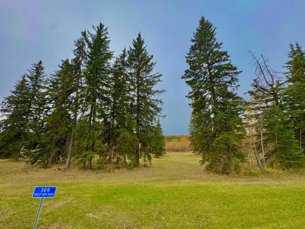 309 Valley View Drive Rural Clearwater County AB T4T 1A7