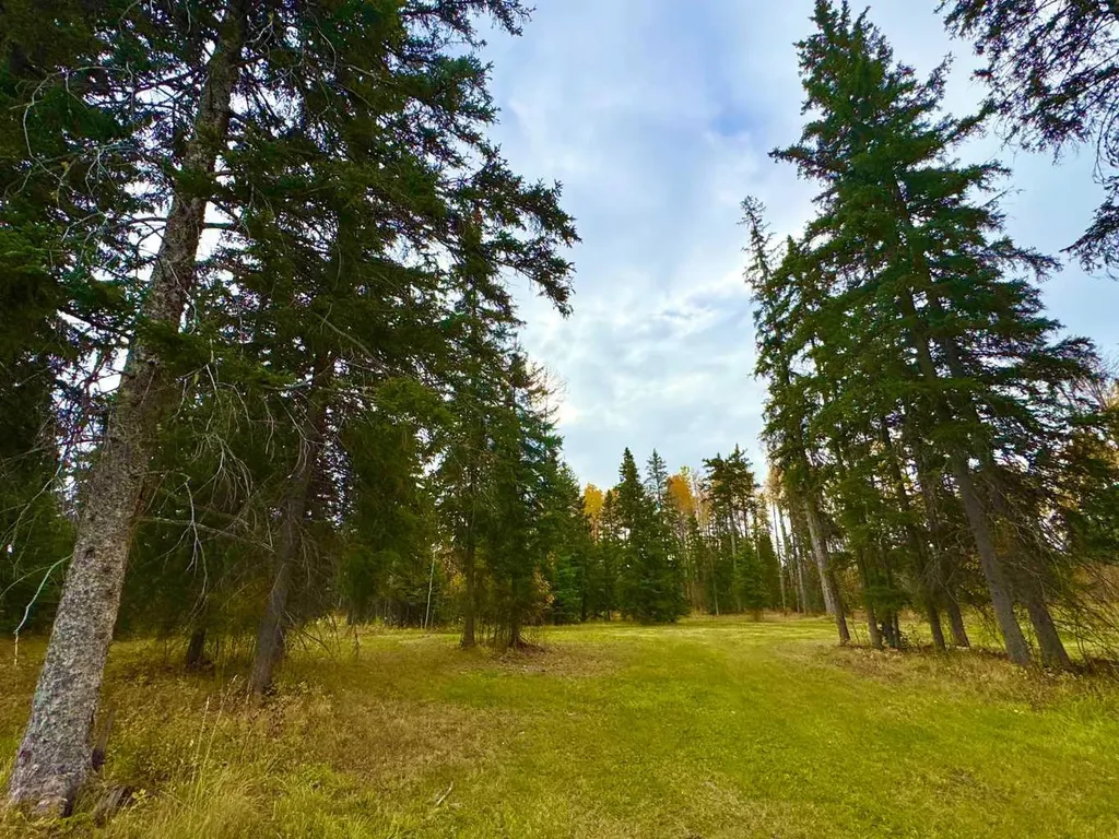 201 High Timber Place Rural Clearwater County AB T4T 1A7
