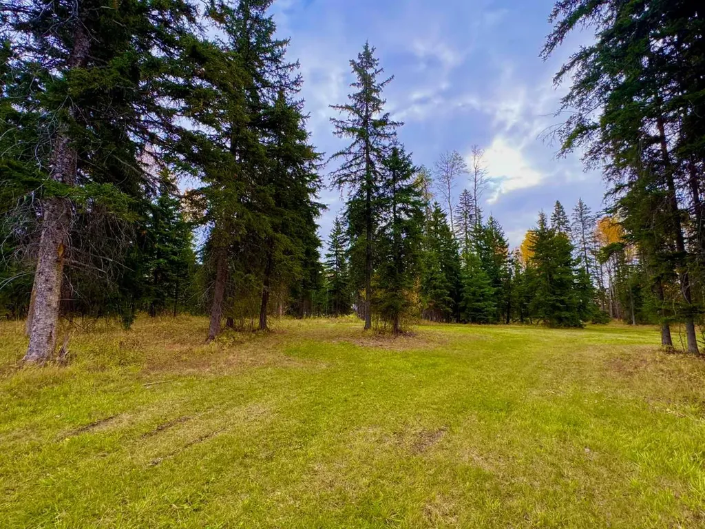 201 High Timber Place Rural Clearwater County AB T4T 1A7