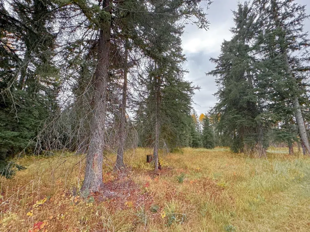 201 High Timber Place Rural Clearwater County AB T4T 1A7