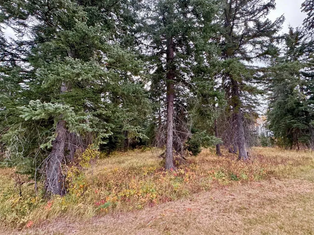 201 High Timber Place Rural Clearwater County AB T4T 1A7
