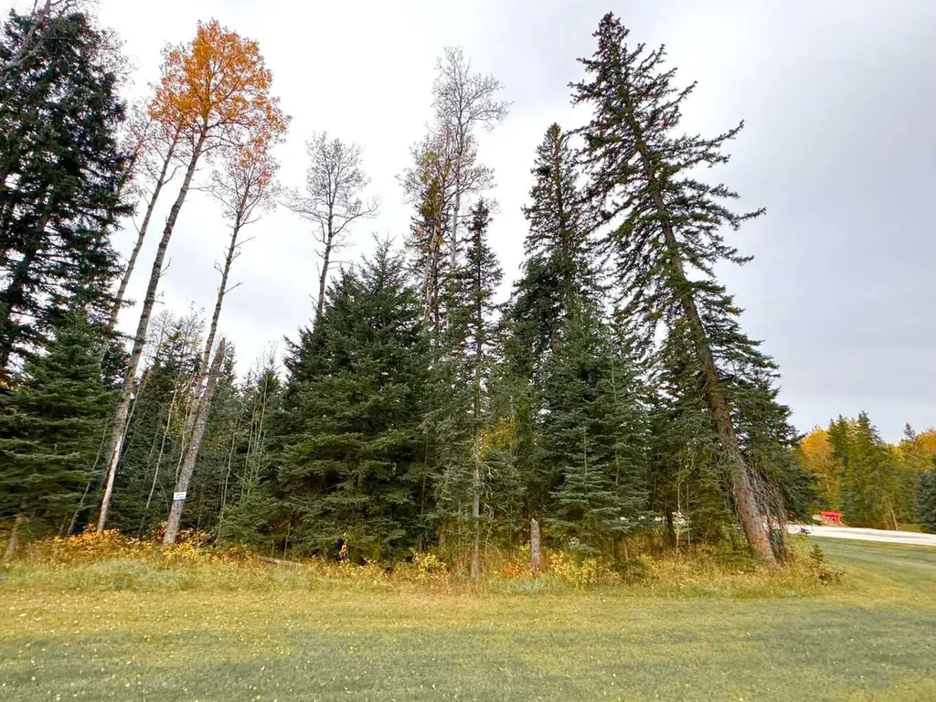 201 High Timber Place Rural Clearwater County AB T4T 1A7