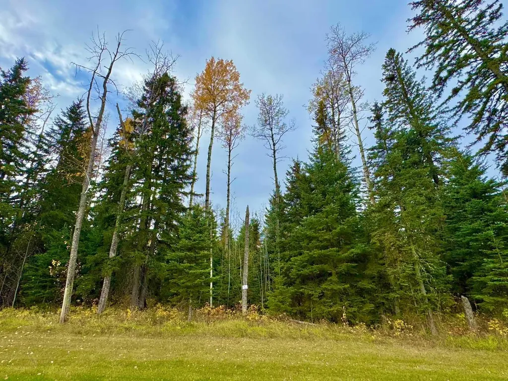 201 High Timber Place Rural Clearwater County AB T4T 1A7