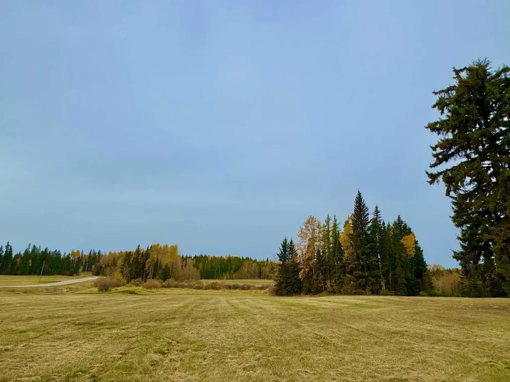 317 Valley View Drive Rural Clearwater County AB T4T 1A7