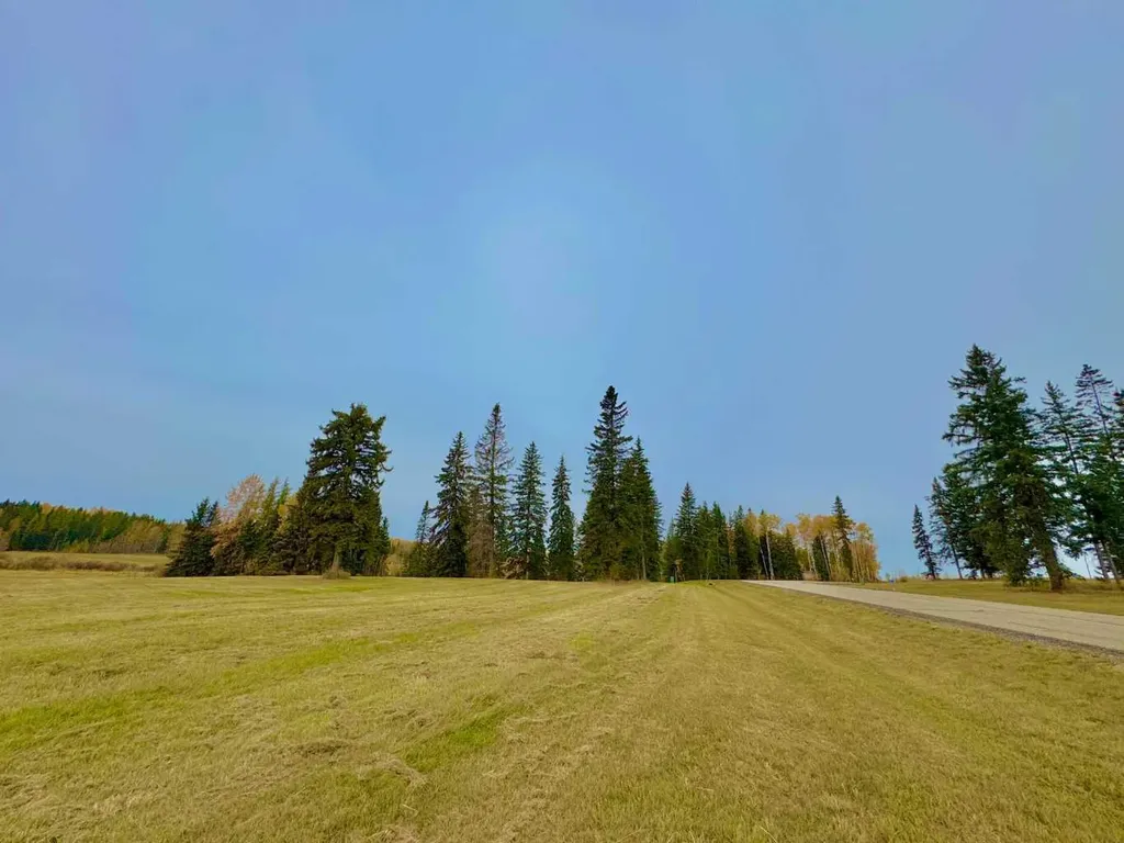 317 Valley View Drive Rural Clearwater County AB T4T 1A7