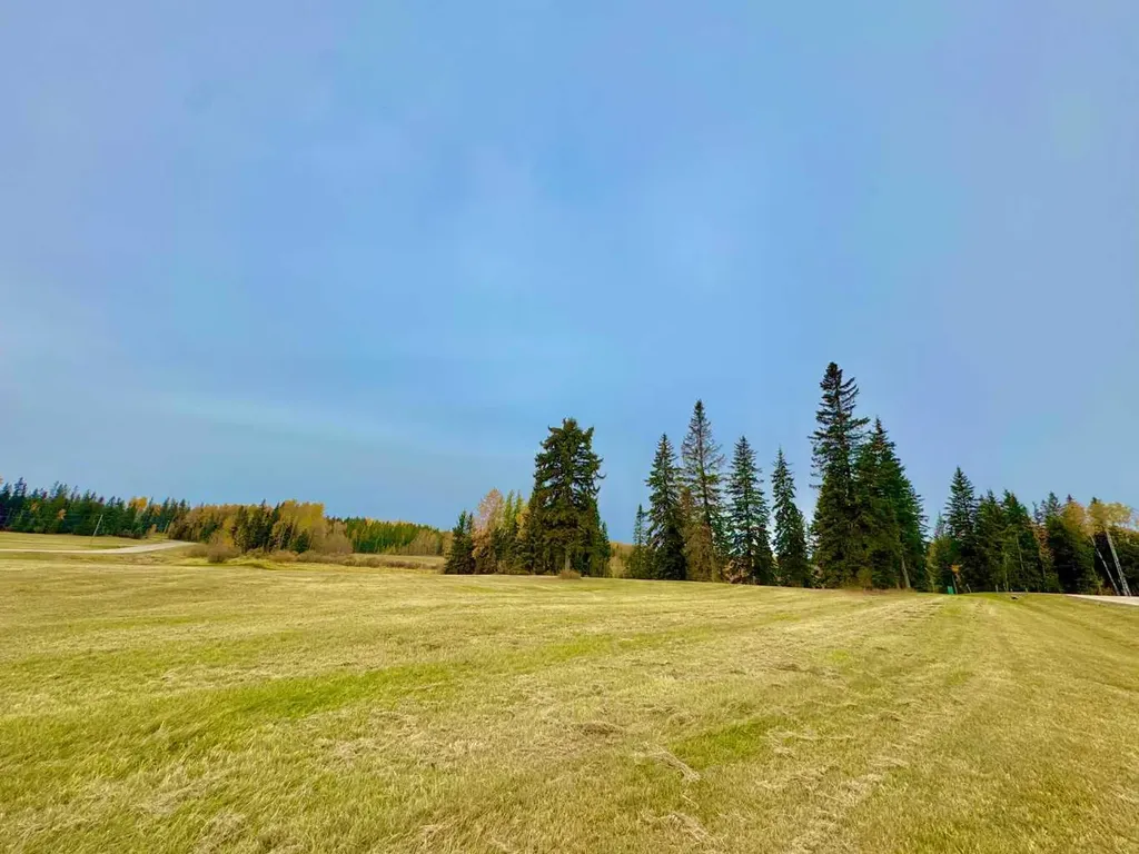 317 Valley View Drive Rural Clearwater County AB T4T 1A7
