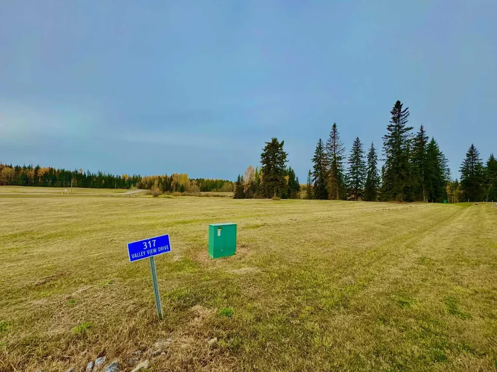 317 Valley View Drive Rural Clearwater County AB T4T 1A7