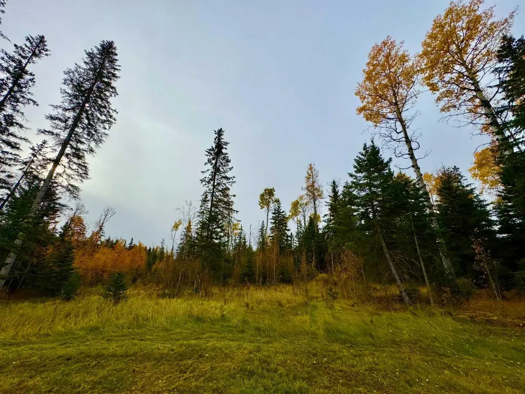 103 Meadow Ponds Drive Rural Clearwater County AB T4T 1A7