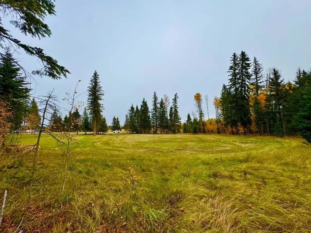 103 Meadow Ponds Drive Rural Clearwater County AB T4T 1A7