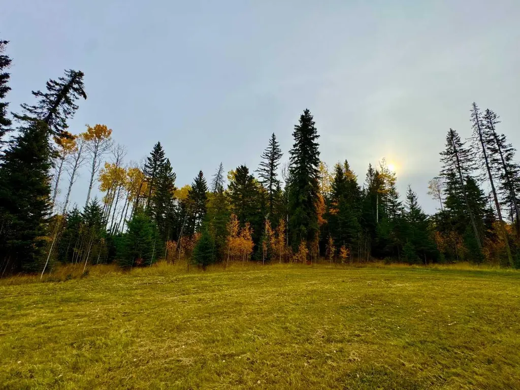 103 Meadow Ponds Drive Rural Clearwater County AB T4T 1A7