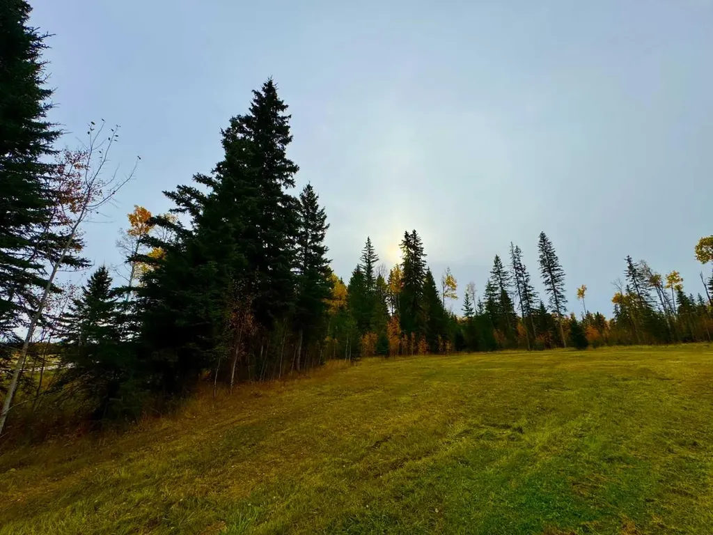 103 Meadow Ponds Drive Rural Clearwater County AB T4T 1A7
