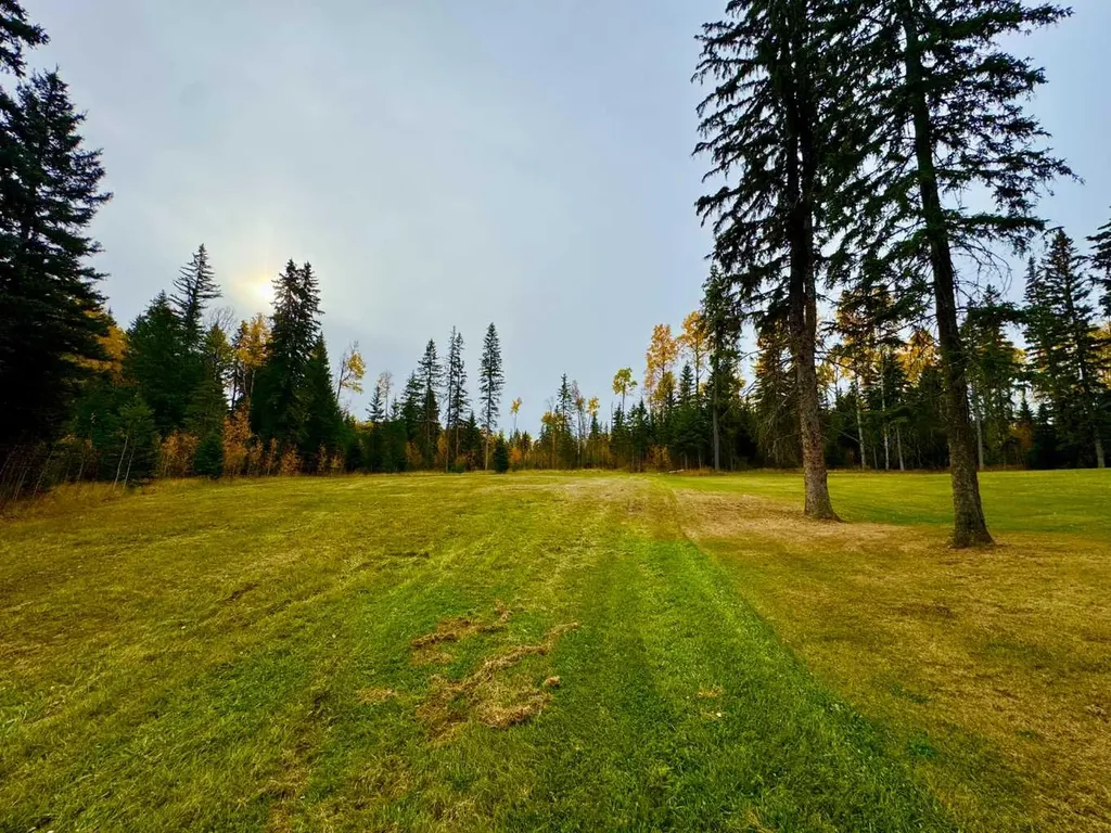103 Meadow Ponds Drive Rural Clearwater County AB T4T 1A7