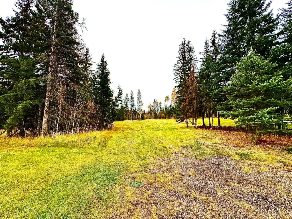 103 Meadow Ponds Drive Rural Clearwater County AB T4T 1A7