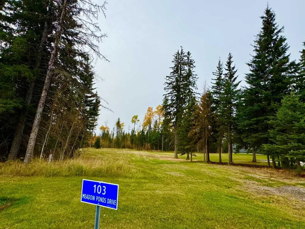 103 Meadow Ponds Drive Rural Clearwater County AB T4T 1A7