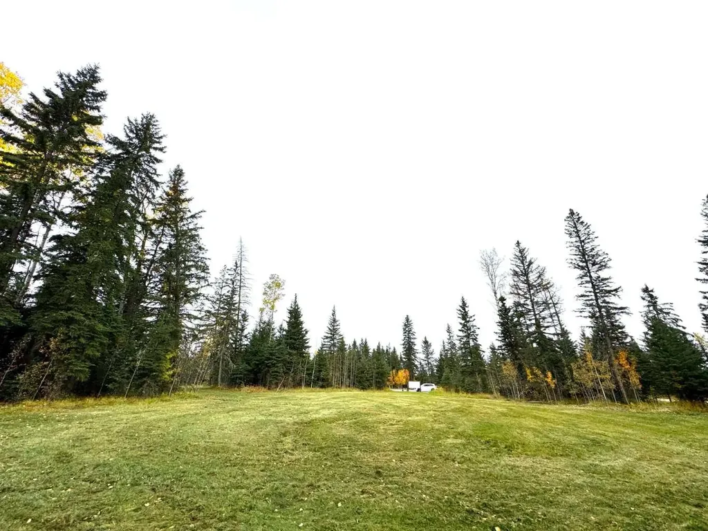 111 Meadow Ponds Drive Rural Clearwater County AB T4T 1A7
