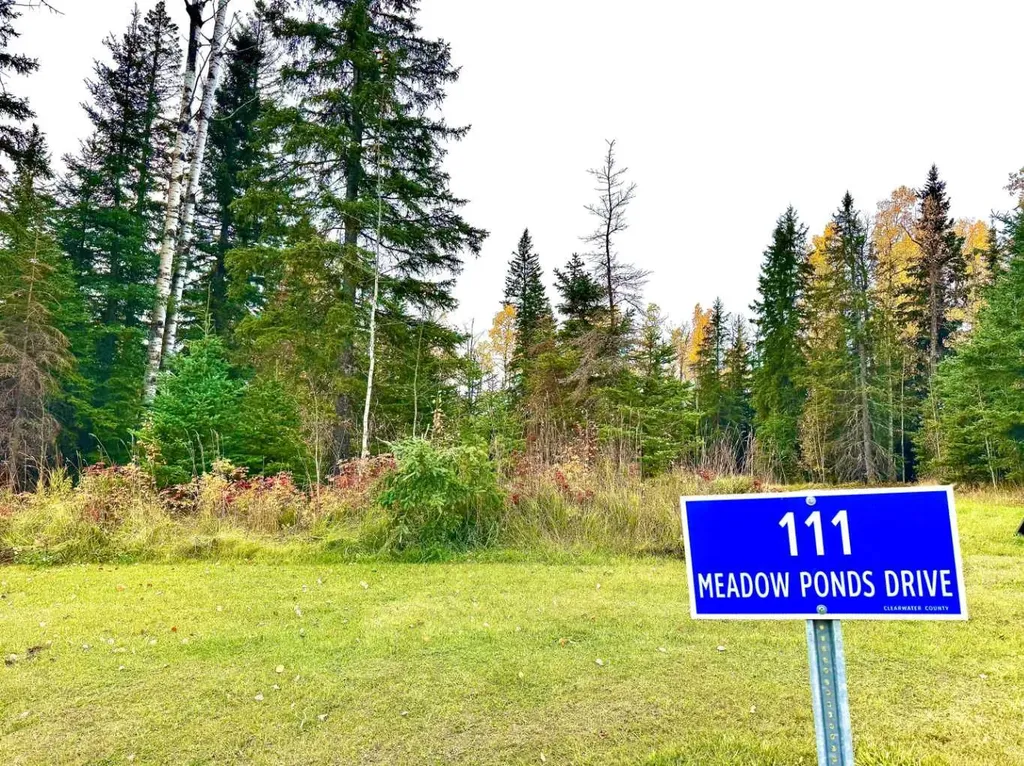 111 Meadow Ponds Drive Rural Clearwater County AB T4T 1A7