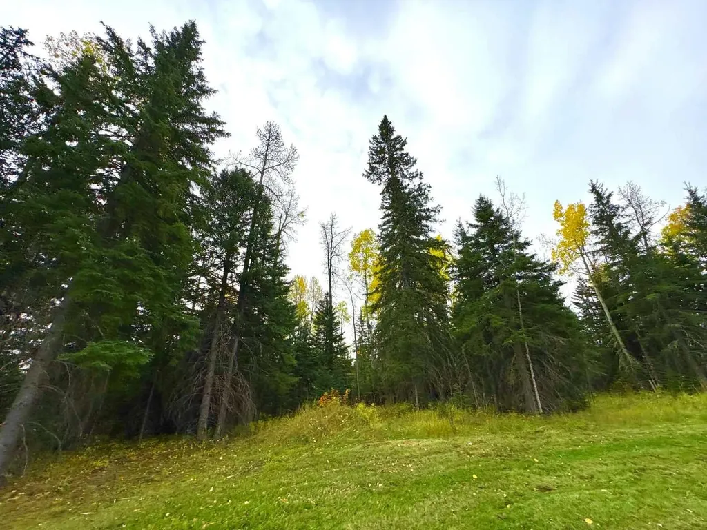 111 Meadow Ponds Drive Rural Clearwater County AB T4T 1A7