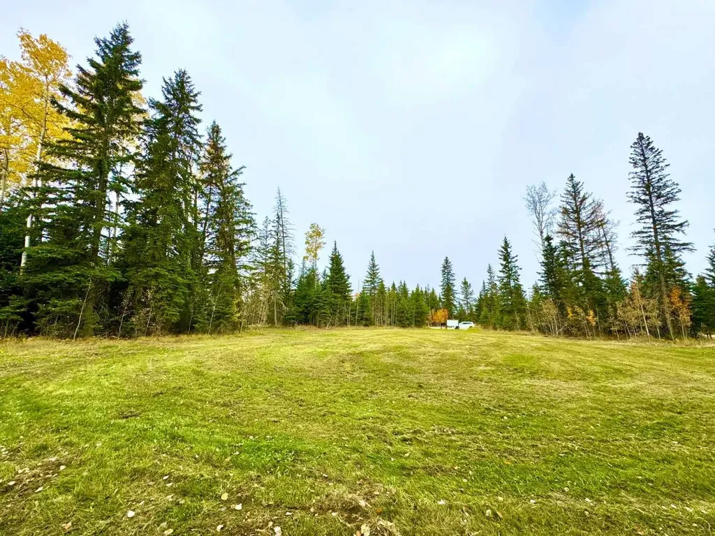 111 Meadow Ponds Drive Rural Clearwater County AB T4T 1A7